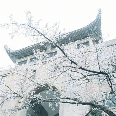 额济纳旗疏散滞留旅客 北京环球影城需进入应急防疫状态